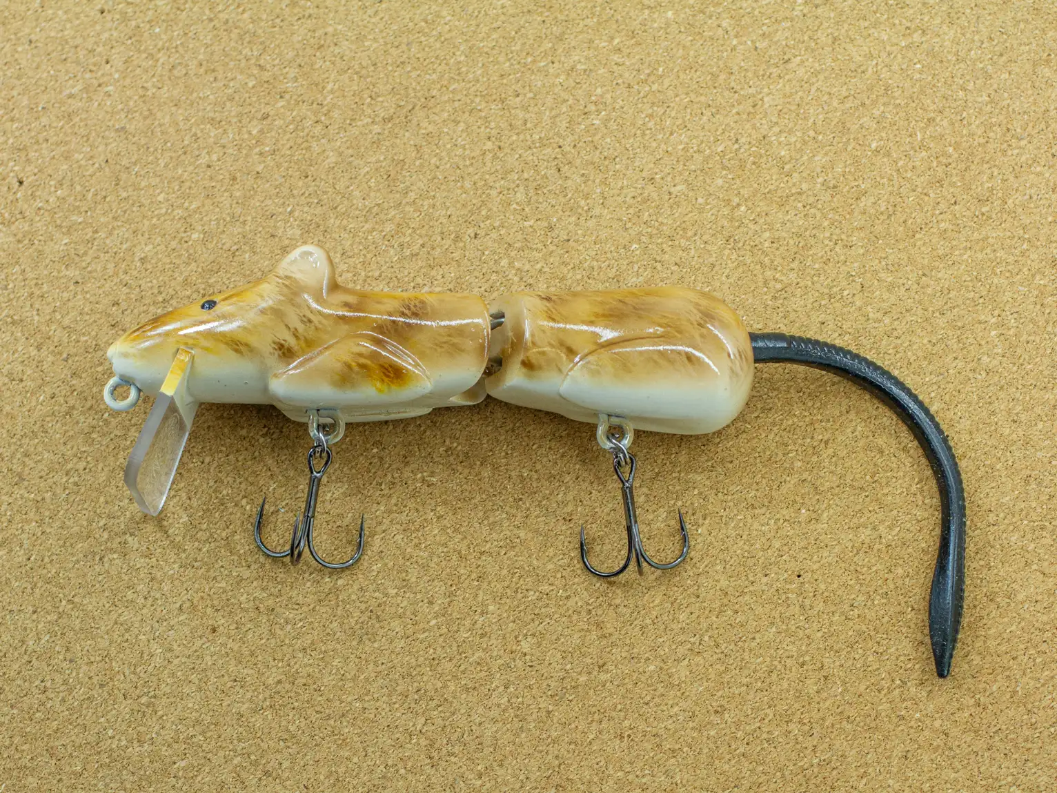 Hill Country Rio Rat