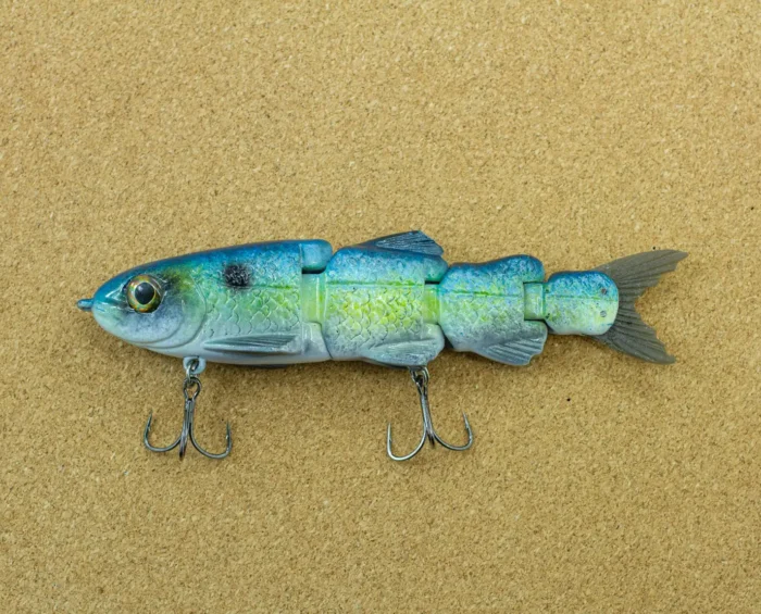 Nates 6_ Trout Swimmer (CP)