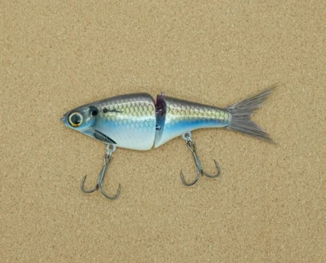 minnow threadfin