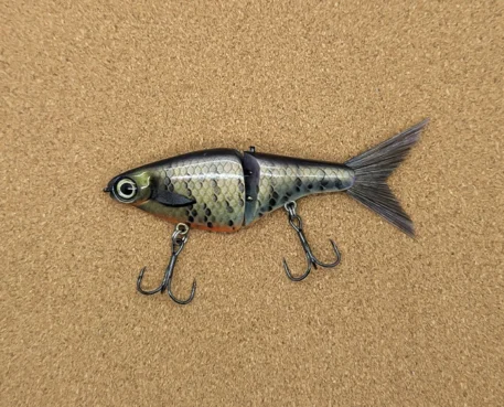 biggs minnow bluegill