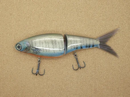 biggs cetus gill