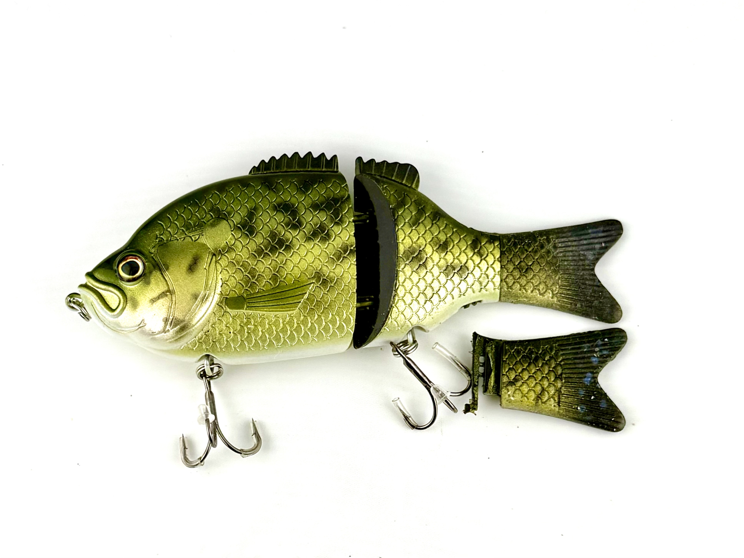Baitsanity Explorer Gill 6 Very Rare Crappie