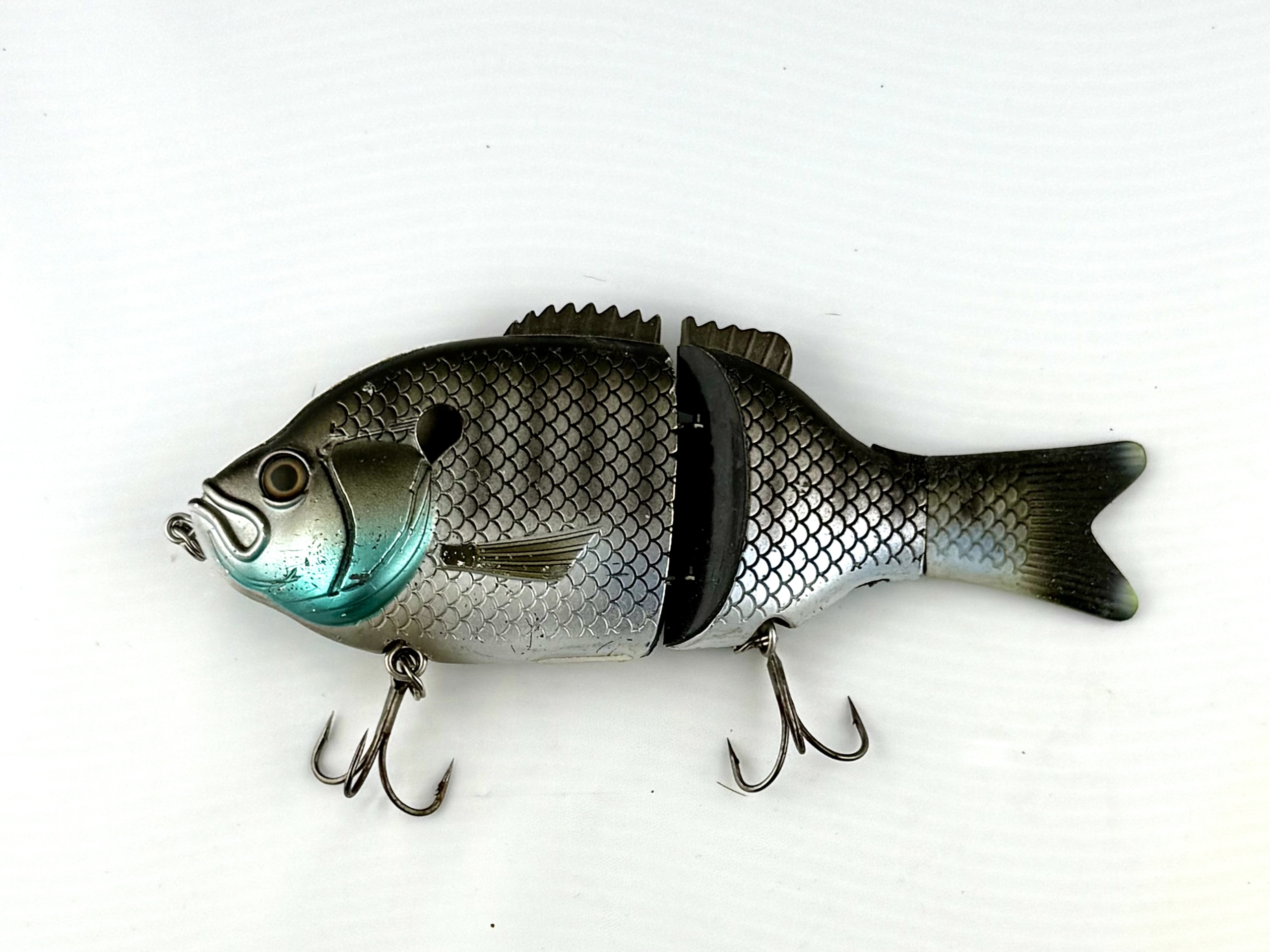 Bait Sanity Explore Gill 6
