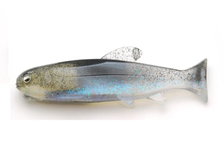 Raid Japan Osakana Swimmer