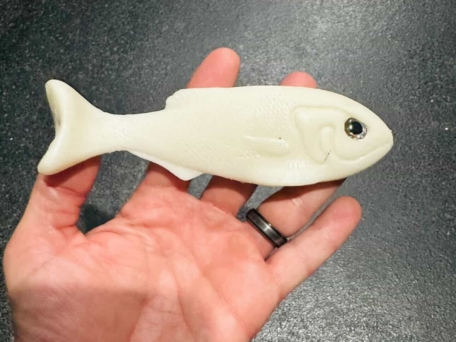 CHR Chuleta Soft Shad